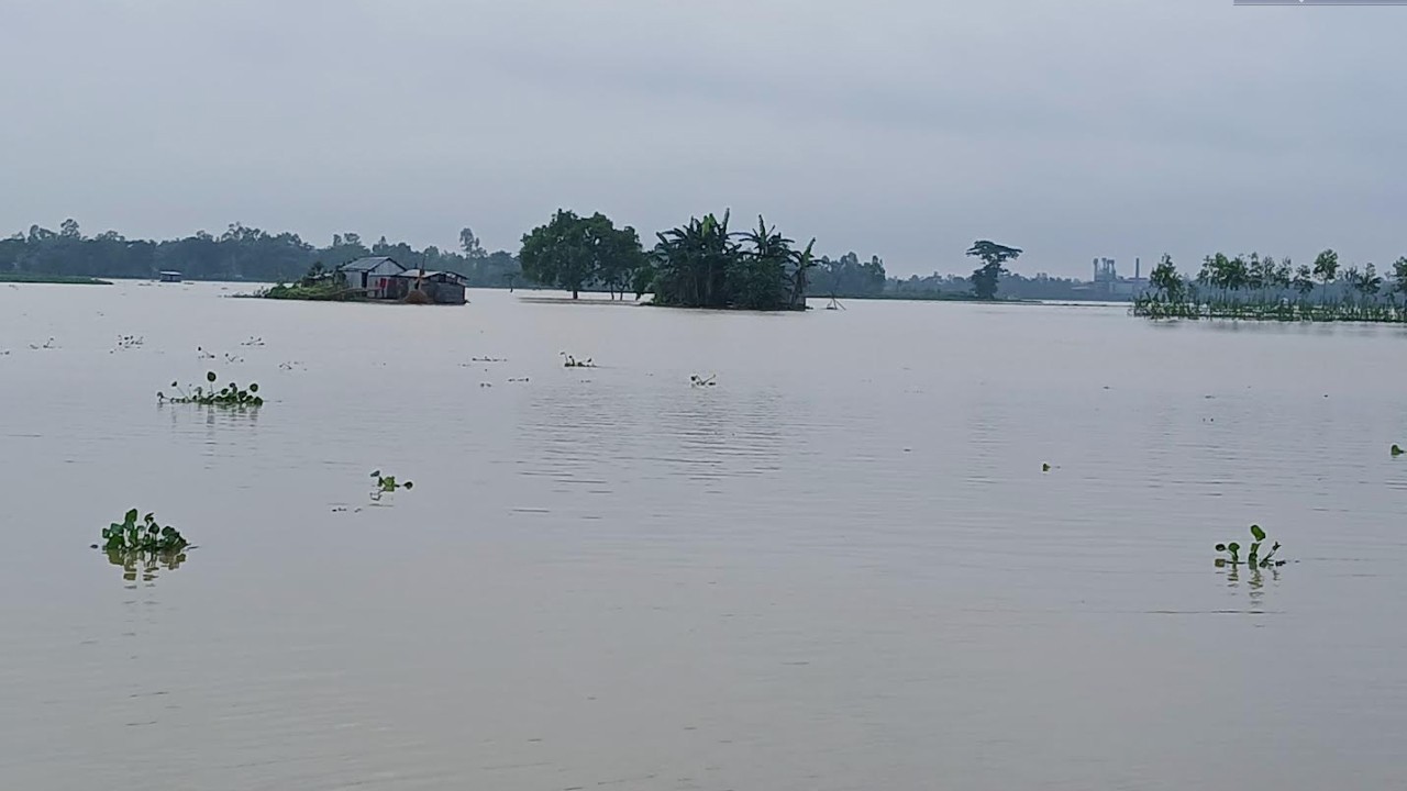 শেরপুরে বন্যা পরিস্থিতির উন্নতি, বেড়েছে ভোগান্তি