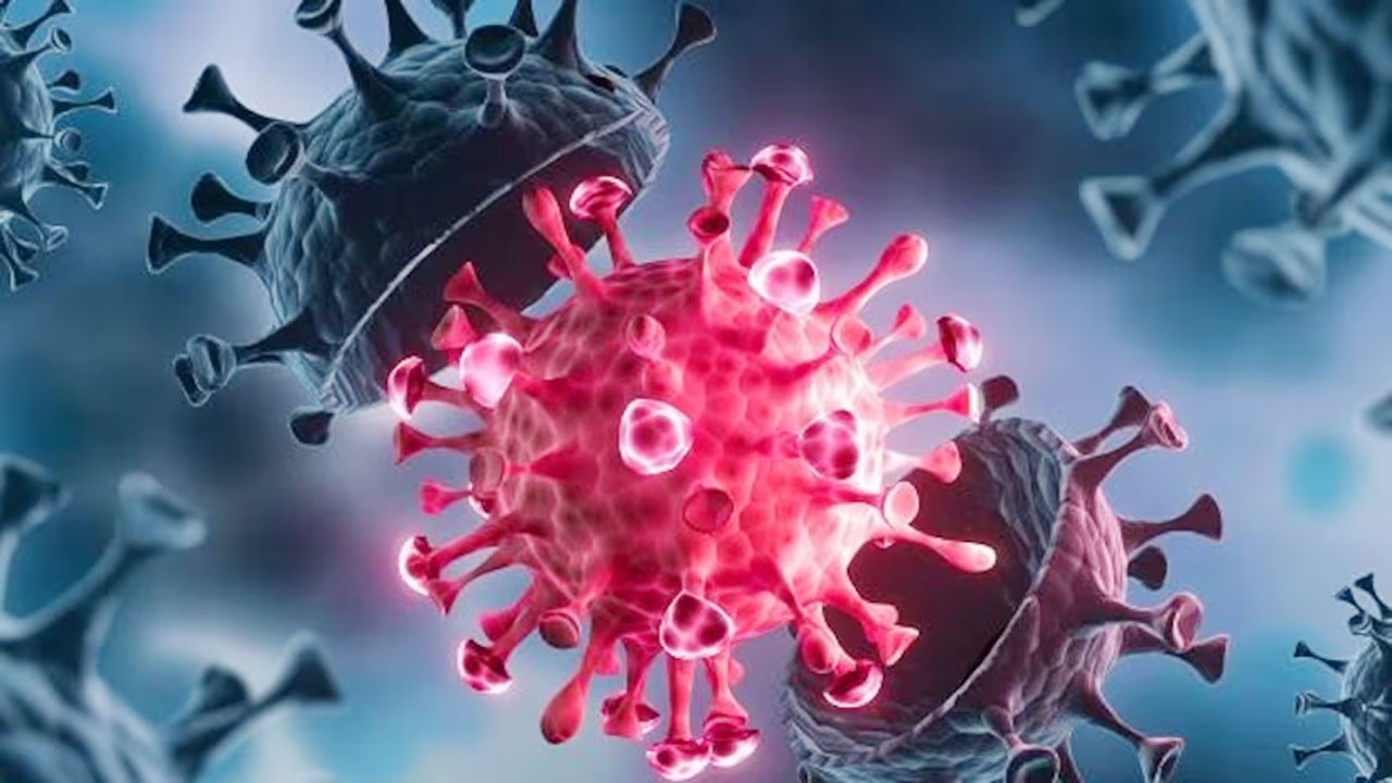 করোনায় আরও একজনের মৃত্যু, শনাক্ত ৩